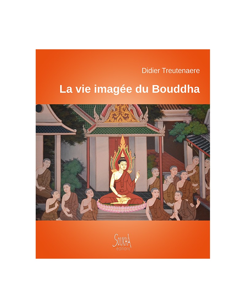 Didier Treutenaere - La vie imagée du Bouddha